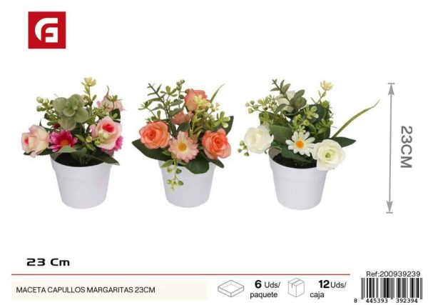 Maceta de jacinto de 23 cm - Decoración para jardines