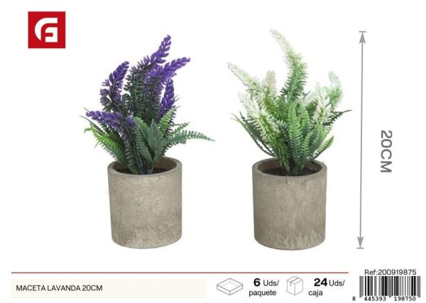 Maceta de lavanda de 20 cm - Decoración para jardines