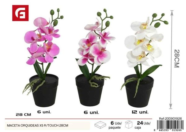 Maceta de orquídeas R/touch de 28 cm - Decoración para jardines