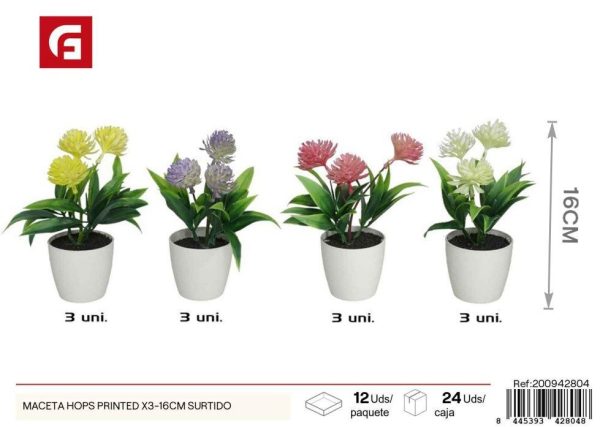 Maceta surtida de 3 con impresión de rosas 16 cm - Decoración para jardines
