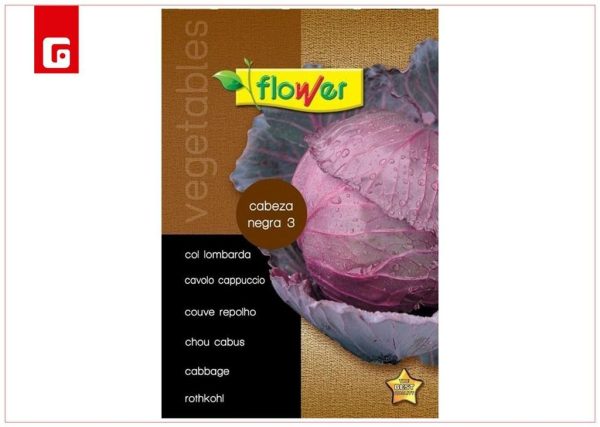 Semilla de col lombarda cabeza negra 3 - Semillas para jardín