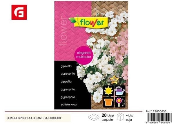Semillas de Gypsophila elegante multicolor para jardinería