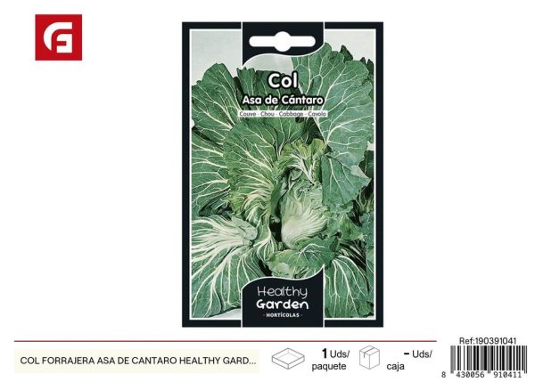 Semillas de col forrajera asa de cántaro - Cultivo sostenible y alimenticio