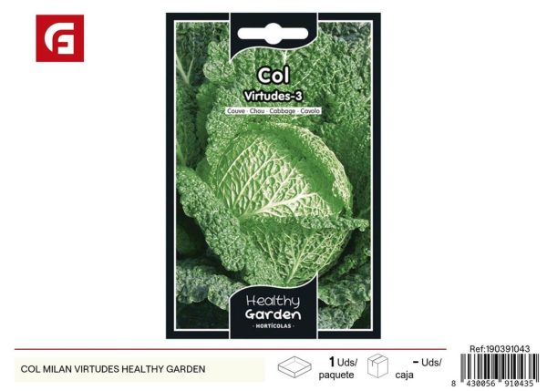 Semillas de col milan virtudes - Cultivo de hortalizas saludables