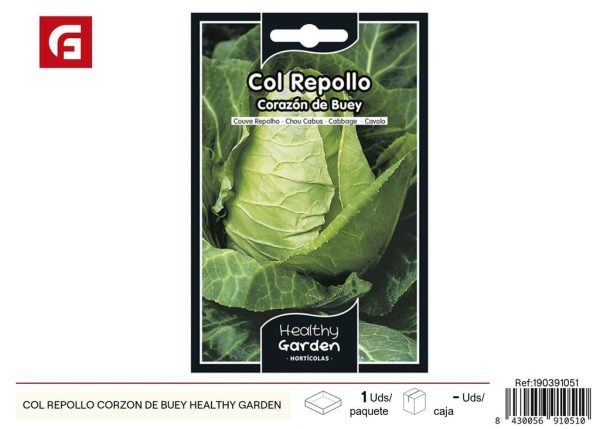 Semillas de col repollo corazón de buey - Cultivo popular en huertas
