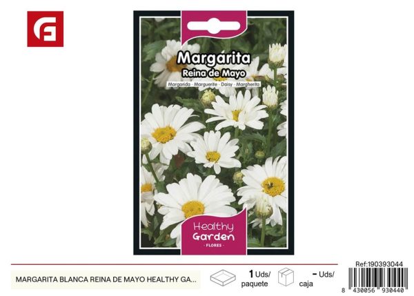 Semillas de margarita blanca reina de mayo - Jardines y flores en primavera
