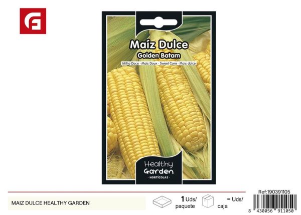 Semillas de maíz dulce - Cultivo de granos sabrosos y nutritivos
